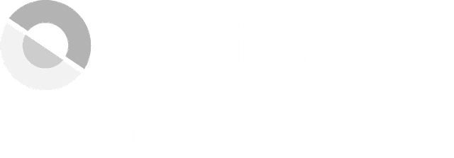 DataInt Logo (White)